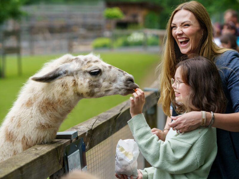 Wildpark Pforzheim