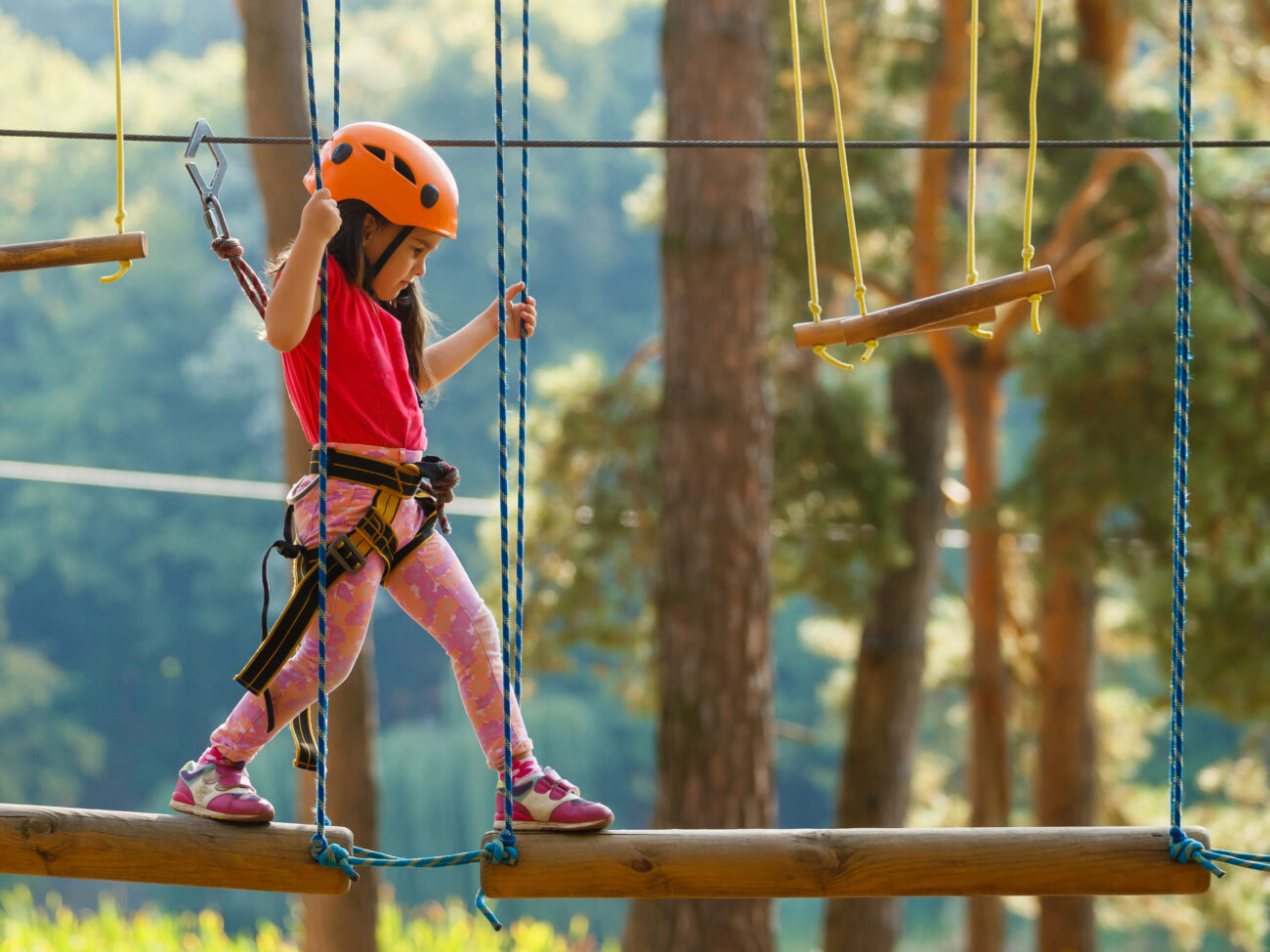 Waldklettergarten Pforzheim – Abenteuer in den Baumwipfeln
